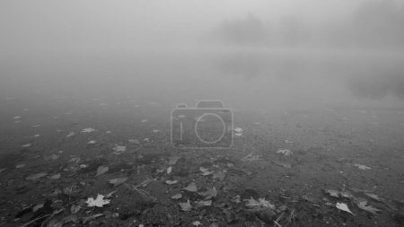 Téléchargez les photos : Foggy Pond en automne. Photo de haute qualité a été prise tôt le matin sur un lac clair en Nouvelle-Angleterre - en image libre de droit
