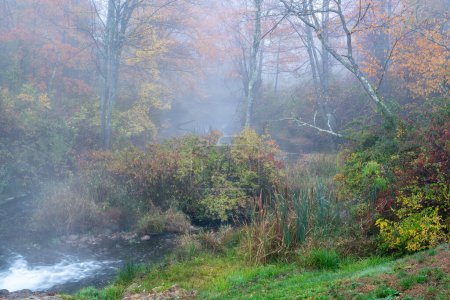 Téléchargez les photos : Foggy Stream en automne. Photo de haute qualité a été prise tôt le matin sur le ruisseau courant en Nouvelle-Angleterre - en image libre de droit