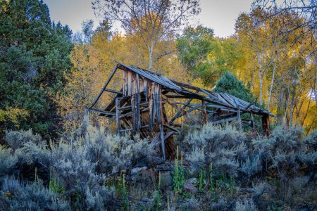 Téléchargez les photos : Ruines de cabane en bois abandonnées. Photo de haute qualité prise par un matin d'automne froid dans l'Utah - en image libre de droit