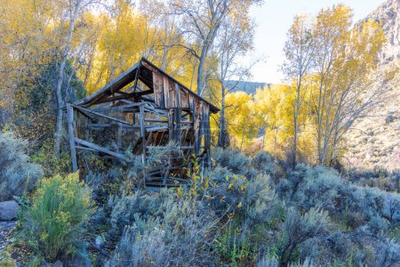 Téléchargez les photos : Ruines de cabane en bois abandonnées. Photo de haute qualité prise par un matin d'automne froid dans l'Utah - en image libre de droit