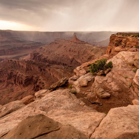 Téléchargez les photos : Vue panoramique extrême du parc national Dead Horse Point dans l'Utah surplombant la rivière Colorado avec une tempête de pluie estivale dans le canyon - en image libre de droit