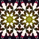 Seamless panorama pattern abstraction. The texture is panoramic