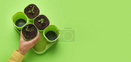 Foto de Mano de jardinero y macetas con plántulas sobre fondo verde con espacio para texto - Imagen libre de derechos