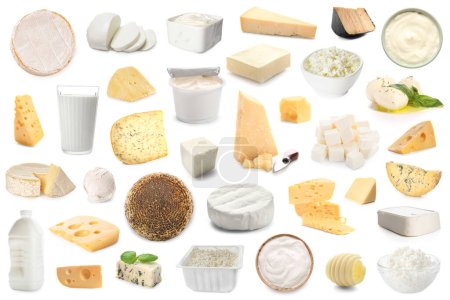 Collection of tasty dairy products on white background