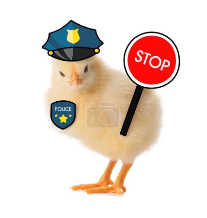 Photo for Cute chick dressed as police officer on white background - Royalty Free Image