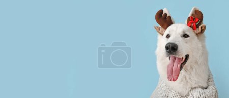Téléchargez les photos : Mignon chien blanc portant des cornes de cerf sur fond bleu clair avec espace pour le texte - en image libre de droit