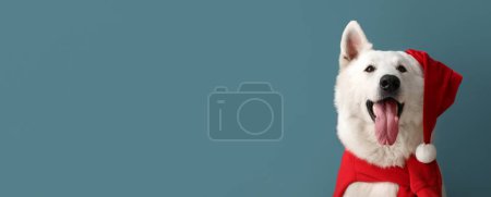 Téléchargez les photos : Chien blanc en chapeau de Père Noël sur fond bleu avec espace pour le texte - en image libre de droit