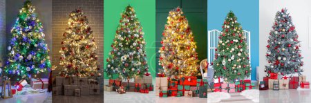 Photo for Collage of beautiful Christmas trees with gifts in interiors of living rooms - Royalty Free Image