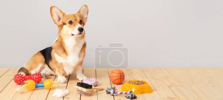 Netter Hund mit verschiedenen Haustieraccessoires auf dem Boden vor hellem Hintergrund. Banner für Design
