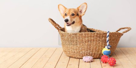 Téléchargez les photos : Mignon chien dans le panier et avec différents accessoires pour animaux de compagnie à la maison. Bannière pour le design - en image libre de droit