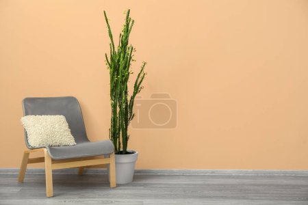 Foto de Cómodo sillón y cactus verde cerca de la pared de color en la habitación - Imagen libre de derechos