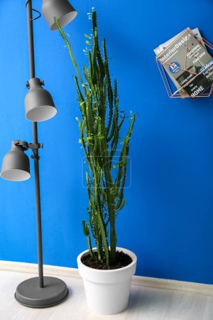 Foto de Cactus verde, lámpara de pie y revistas cerca de la pared azul en la habitación - Imagen libre de derechos