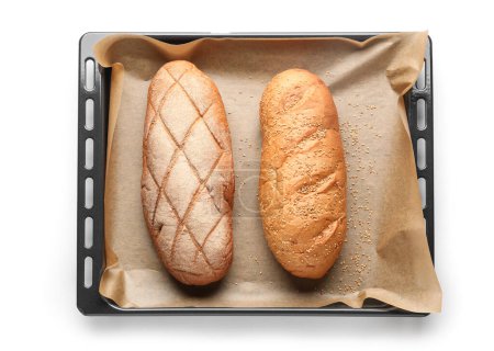 Photo for Baking sheet with loafs of fresh bread on white background - Royalty Free Image