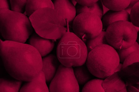 Téléchargez les photos : Poires et pommes magenta viva mûres, gros plan - en image libre de droit