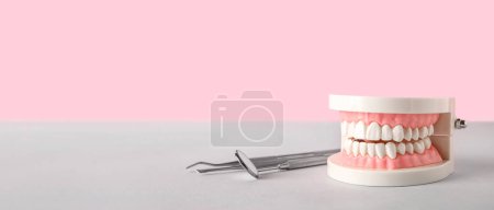 Foto de Modelo de mandíbula con herramientas dentales sobre mesa sobre fondo rosa. Banner para el diseño - Imagen libre de derechos