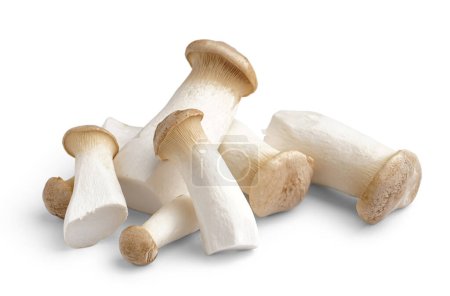 Téléchargez les photos : Tas de champignons ostréicoles frais roi sur fond blanc - en image libre de droit