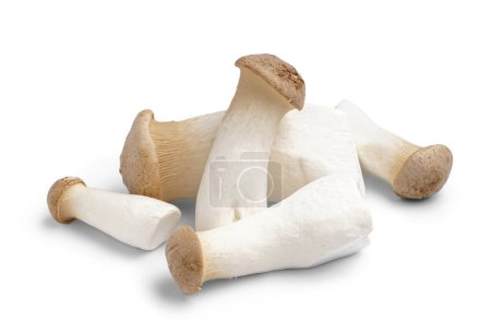 Téléchargez les photos : Tas de champignons frais d'huîtres royales isolés sur fond blanc - en image libre de droit