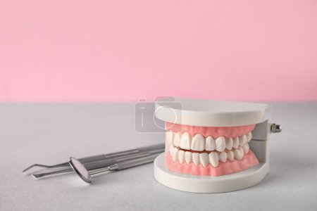 Foto de Modelo de mandíbula con herramientas dentales sobre mesa sobre fondo rosa - Imagen libre de derechos