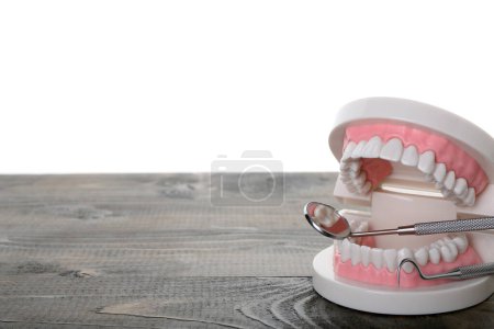 Foto de Jaw model with dental tools on dark wooden table against white background - Imagen libre de derechos