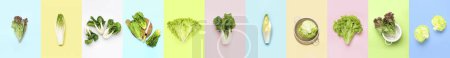 Téléchargez les photos : Set of healthy leaf salads on color background, top view - en image libre de droit