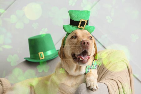 Foto de Cute dog with green hat on armchair at home. St. Patrick's Day celebration - Imagen libre de derechos