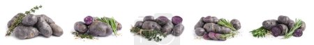 Foto de Collage of raw purple potatoes with herbs and spices on white background - Imagen libre de derechos