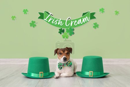 Cute dog with green hats lying on floor. St. Patrick's Day celebration