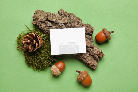 Photo for Paper sheet, tree bark, fir cone, moss and acorns on green background - Royalty Free Image
