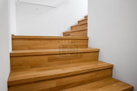 View of wooden stairs in modern building