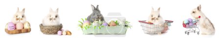 Téléchargez les photos : Set of cute rabbits and Easter eggs on white background - en image libre de droit