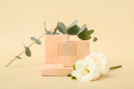 Photo for Podiums with beautiful flowers and eucalyptus branch on beige background. Hello spring - Royalty Free Image