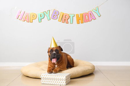 Téléchargez les photos : Boxer chien avec chapeau de fête, cadeau et texte HAPPY BIRTHDAY sur mur léger - en image libre de droit