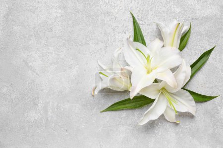White lily flowers on light background