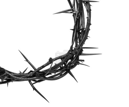 Photo for Crown of thorns on white background, top view - Royalty Free Image