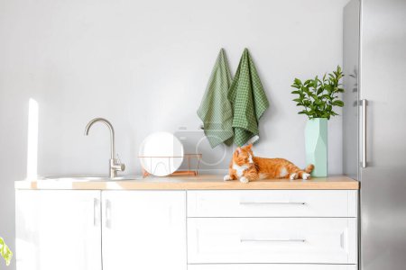 Téléchargez les photos : Mignon chat rouge couché sur le comptoir dans la cuisine légère - en image libre de droit
