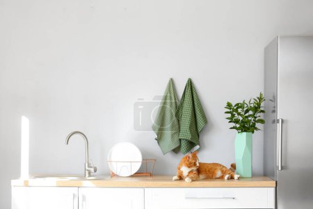 Téléchargez les photos : Mignon chat rouge couché sur le comptoir dans la cuisine légère - en image libre de droit