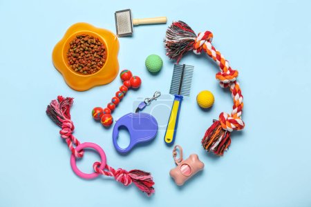 Composition with pet care accessories, toys and dry food on color background