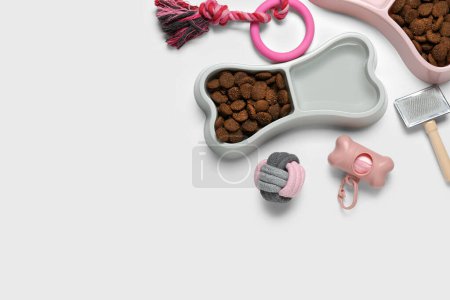 Bols de nourriture sèche pour animaux de compagnie et accessoires sur fond clair