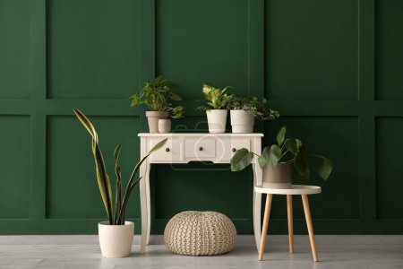 Foto de Mesas con plantas de interior y puf cerca de la pared verde en la habitación - Imagen libre de derechos
