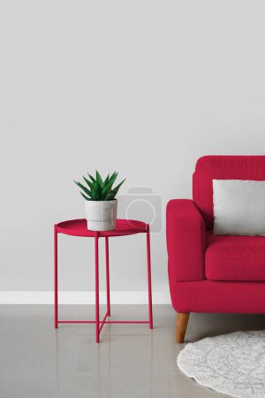 Téléchargez les photos : Fauteuil et table Viva magenta avec plante d'intérieur près du mur de lumière dans la chambre - en image libre de droit