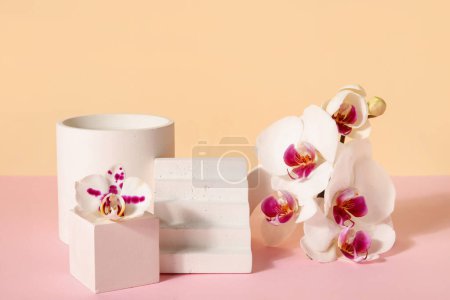 Photo for Decorative plaster podiums and beautiful orchid flowers on pink table against beige background - Royalty Free Image