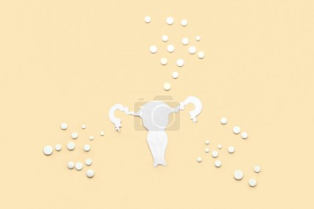 Utérus de papier avec des pilules hormonales sur fond beige
