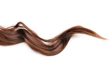 Photo for Brown hair strand on white background - Royalty Free Image