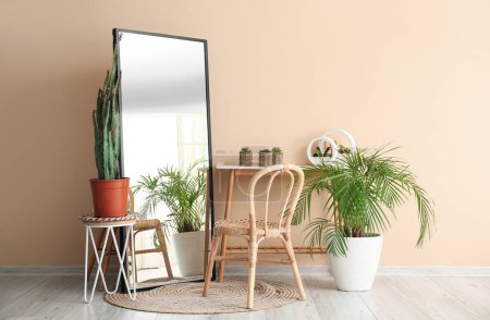 Foto de Interior de la habitación con sillón, espejo, plantas de interior y cactus grandes - Imagen libre de derechos