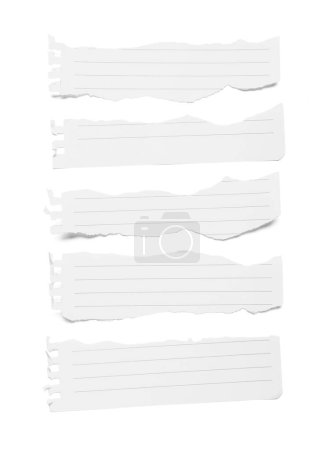 Trozos rotos de hojas de papel de cuaderno aislados sobre fondo blanco