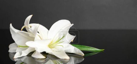 Foto de Hermosas flores de lirio blanco sobre fondo oscuro con espacio para el texto - Imagen libre de derechos
