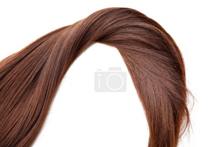 Photo for Brown hair on white background - Royalty Free Image