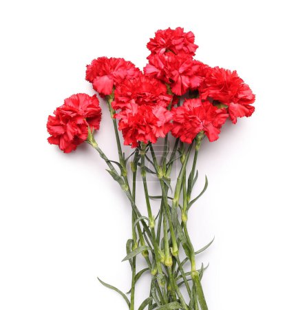 Photo for Red carnations on white background - Royalty Free Image