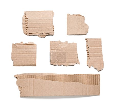 Foto de Trozos de cartón desgarrados aislados sobre fondo blanco - Imagen libre de derechos