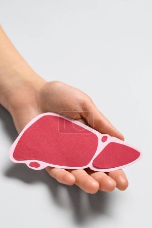Foto de Hígado de papel rojo con la mano femenina sobre fondo gris - Imagen libre de derechos